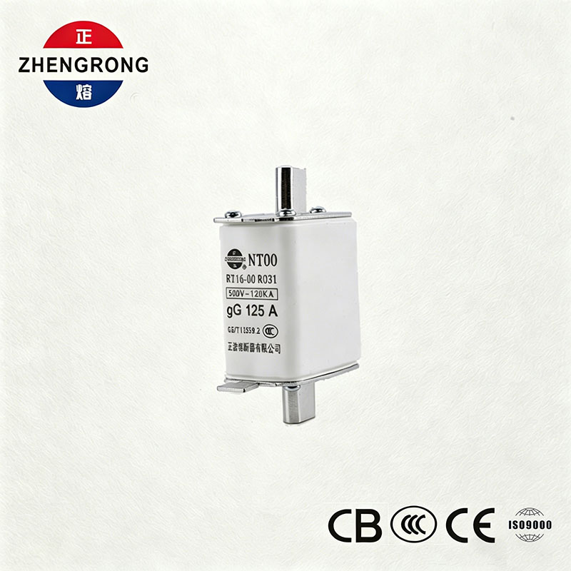 উচ্চ ব্রেকিং ক্ষমতা NT00 125A ফিউজ - 500V 120kA সিরামিক জিজি ফিউজ লিঙ্ক