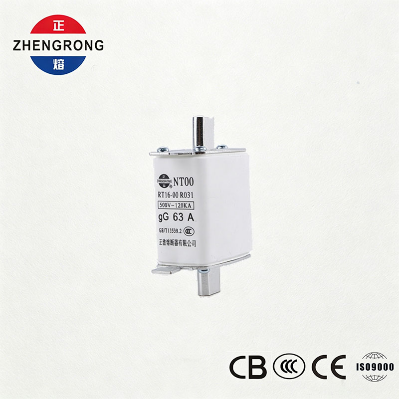 উচ্চ ব্রেকিং ক্ষমতা NT00 63A ফিউজ - 500V 120kA সিরামিক জিজি ফিউজ লিঙ্ক