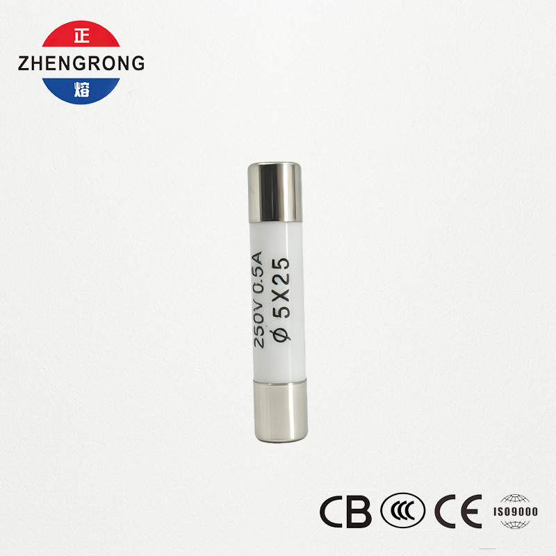 পাইকারি ক্রেতাদের জন্য উচ্চ-মানের 5x25mm R055 0.5A ফিউজ