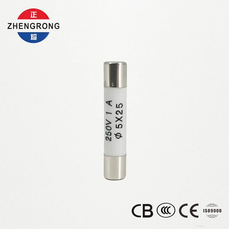 পাইকারি ক্রেতাদের জন্য উচ্চ-মানের 5x25mm R055 1A ফিউজ